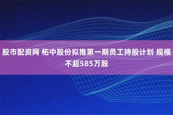 股市配资网 柘中股份拟推第一期员工持股计划 规模不超585万股